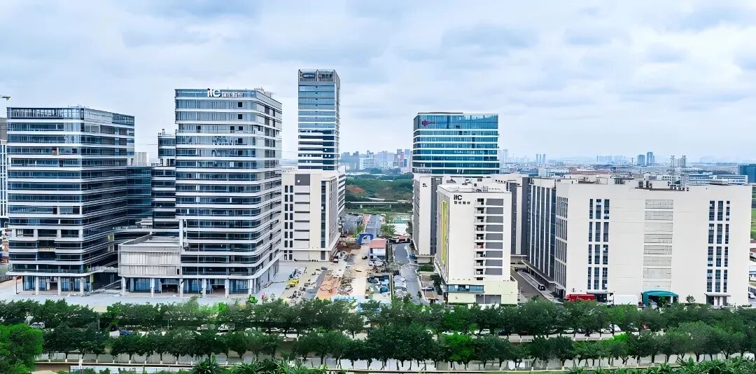 顺势而为，向新而行！itc保伦股份紧跟广东省高质量发展大会部署抢抓发展新机遇.docx